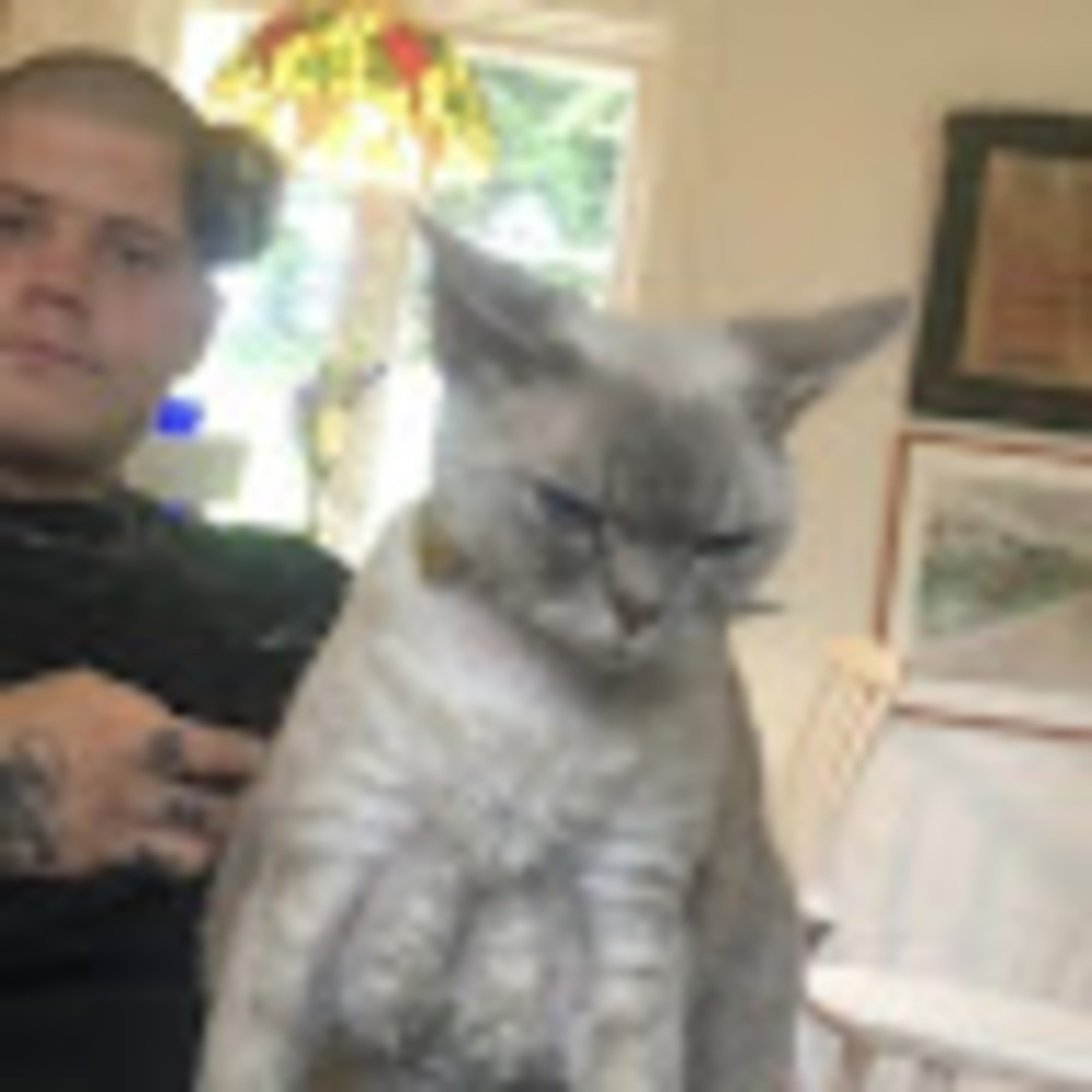 Meet your Posher, Ccconie